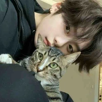 Hứa Minh Tuệ || mintue@