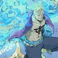 Marco The Phoenix