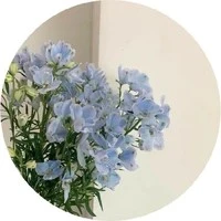 -Nhân vật phụ-