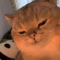 t/g