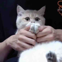 Phú Quý