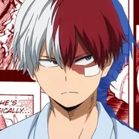 Todoroki