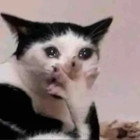 Tác giả đam mê cảm giác lạ