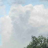 Tác giả