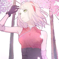 haruno sakura