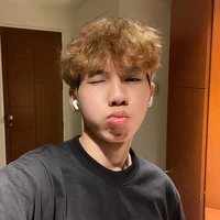 hữu đạt/phoenix