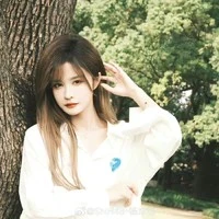 dương băng di(y)