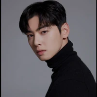 cha eun woo