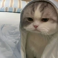 Độc giả cuti của Phiến Đz