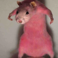 ? ? ?