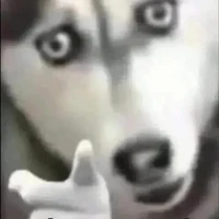 1 mình t cân tất nv nam