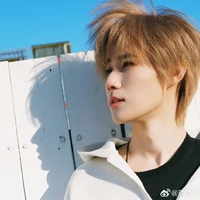 Trương Chân Nguyên