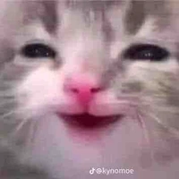Tg