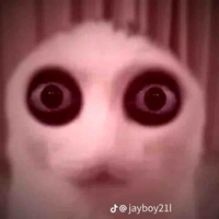 Con t/g khùng