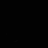 Tg