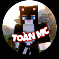 Toàn