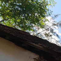 quạ ( ko có ảnh nên chọn đại )