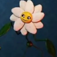 daisy