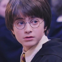 Harry James Potter