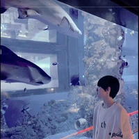 Tác giả trầm tánh