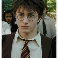 harry potter⚡️