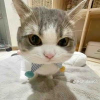 Tác giả cute hột me nèee