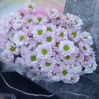 Con tác giả chứ ai