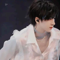Hạ Tuấn Lâm 