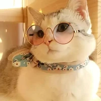 T/G lười=~=