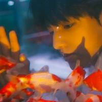 Trương Trạch Vũ