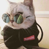 Tác giả
