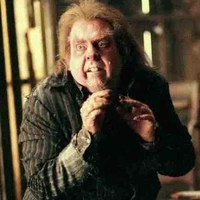 Peter Pettigrew 
