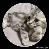 Hệ thống003(tiểu miêu)