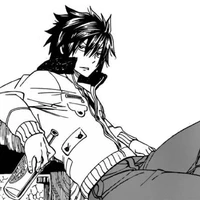 Gray Fullbuster