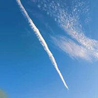 đám người bắt nạt 