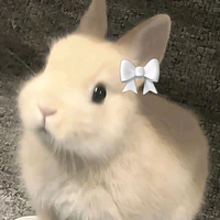 Suri (pet của Hiha)