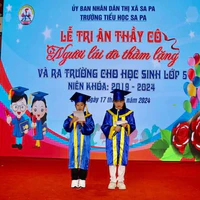 Tác giả