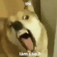 Edit