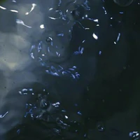 Oh Lily (em gái Hanbin)
