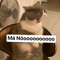 Tác giả bít đi