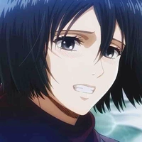 Mikasa Ackerman 
