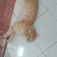 mn:))