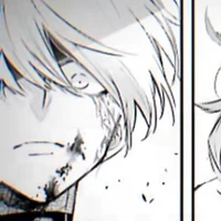 hasuichi nishizono ( nhật bản)