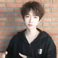 Hạ Tuấn Lâm