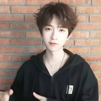 Hạ Tuấn Lâm