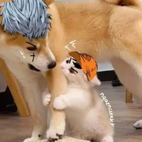 Bày đầu cả lũ😭