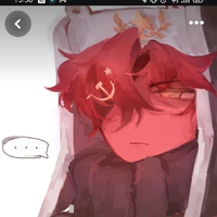 USSR