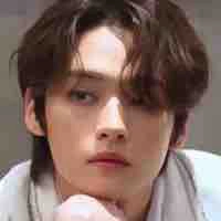 Lee Minho- Lee Know