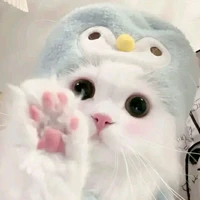 tác giả cute:)