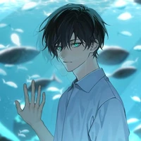 Rin Itoshi
